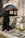 HERO - Triola Cane Corso